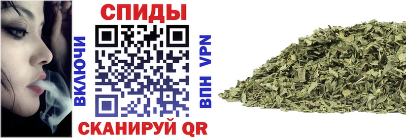 OMG онион Суворов БУТИРАТ оксана