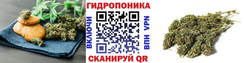 Canna-Cookies конопля  Суворов 