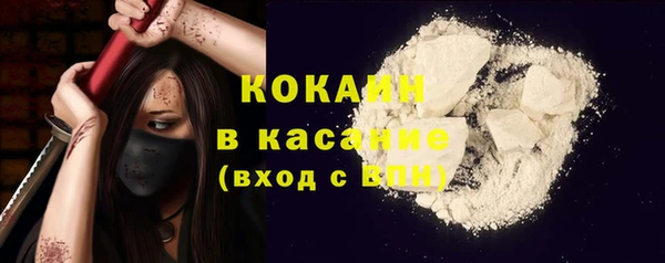 ПСИЛОЦИБИНОВЫЕ ГРИБЫ Арсеньев