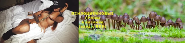 экстази Аркадак