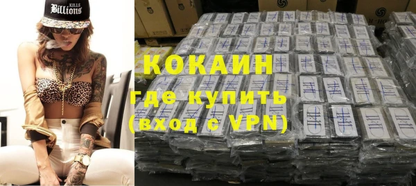 ПСИЛОЦИБИНОВЫЕ ГРИБЫ Арсеньев
